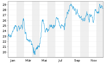 Chart Douglas Dynamics Inc. - 1 Jahr