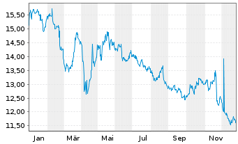 Chart India Fund Inc., The - 1 Jahr
