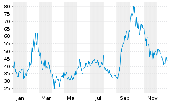 Chart Innodata Inc. - 1 Jahr