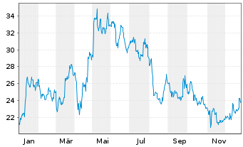 Chart Intrepid Potash Inc. - 1 Jahr