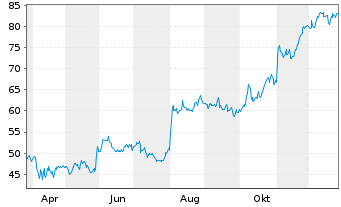Chart iRadimed Corp. - 1 Jahr