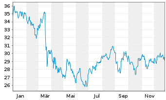 Chart iShares I.-MSCI Turkey Ind.FD - 1 Jahr
