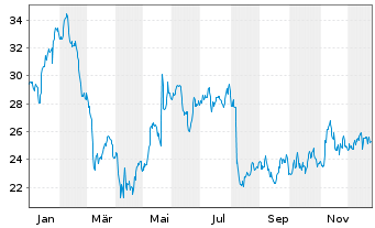 Chart LiveRamp Holdings Inc. - 1 Jahr