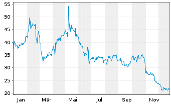 Chart Nat.Grocers by Vitamin Cottage - 1 Jahr