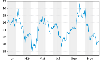 Chart Netgear Inc. - 1 Jahr