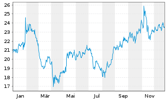 Chart Netscout Systems Inc. - 1 Jahr