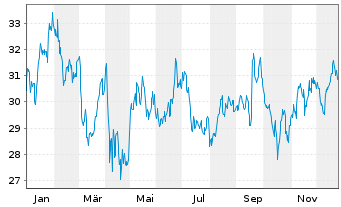 Chart Radian Group Inc. - 1 Jahr