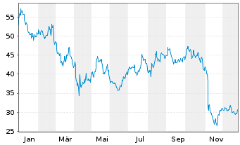 Chart United Parks & Resorts Inc. - 1 Year