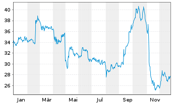 Chart Sturm Ruger Co. Inc. - 1 Jahr