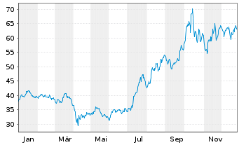 Chart VanEck Rare Earth/Str.Met.ETF - 1 Jahr