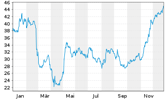Chart XPEL Inc. - 1 Jahr