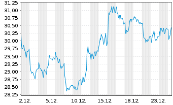Chart Wienerberger AG - 1 Monat