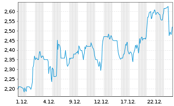 Chart Amex Exploration Inc. - 1 Monat