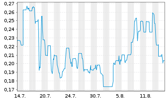 Chart Argentina Metals Corp. - 1 Monat