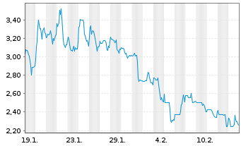Chart Bitzero Holdings Inc. - 1 Monat