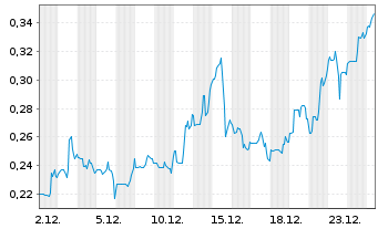 Chart Copper Giant Resources Corp. - 1 Monat