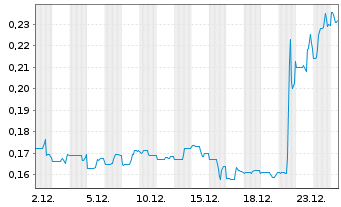 Chart Endurance Gold Corp. - 1 Month