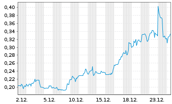 Chart Excellon Resources Inc. - 1 Monat