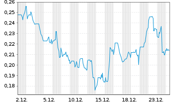 Chart Homeland Uranium Corp. Registered Shares o.N. - 1 Monat