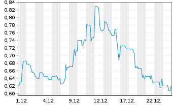 Chart Homerun Resources Inc. - 1 Monat