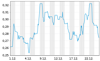 Chart Lion Rock Resources Inc. - 1 Monat