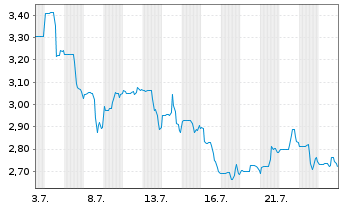 Chart Mining Americas Inc. - 1 Month