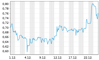 Chart Monument Mining Ltd. - 1 Monat