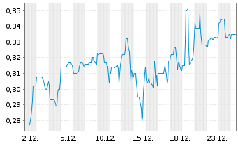 Chart New Earth Resources Corp. - 1 Monat