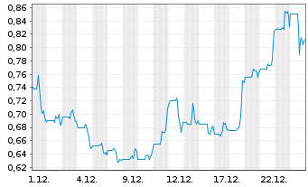 Chart Prospector Metals Corp. - 1 Monat