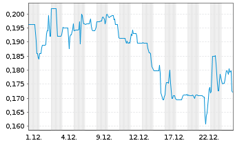 Chart US Critical Metals Corp. - 1 Monat