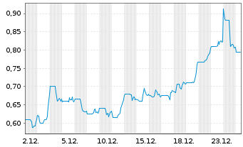 Chart White Gold Corp. - 1 Monat