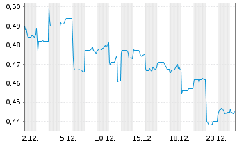 Chart Huadian Power Intl Corp. Ltd. - 1 Monat
