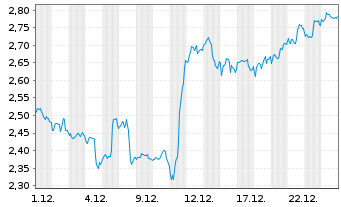 Chart Mini Future Long Visa - 1 Monat