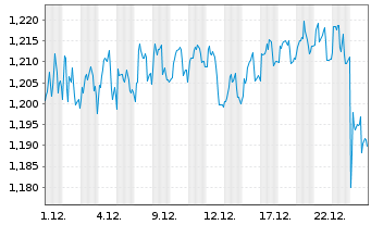 Chart Mini Future Short BayWa - 1 Month