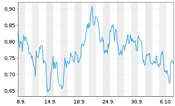 Chart Mini Future Short Chevron - 1 Monat