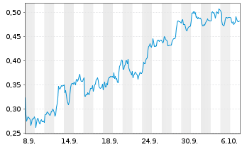 Chart Mini Future Short K+S - 1 Month