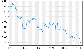 Chart Mini Future Long Salzgitter - 1 Month