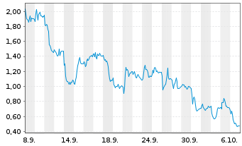 Chart Mini Future Long Salzgitter - 1 Month