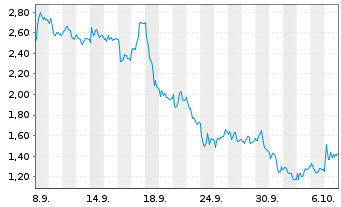 Chart Mini Future Long Volkswagen - 1 Month