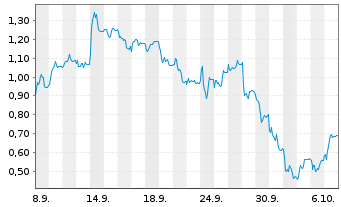 Chart Mini Future Short PVA TePla - 1 Month