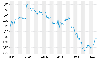 Chart Mini Future Short PVA TePla - 1 Month