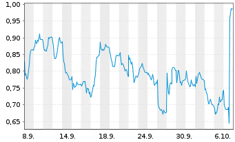 Chart Mini Future Short Fresenius Medical Care - 1 Month