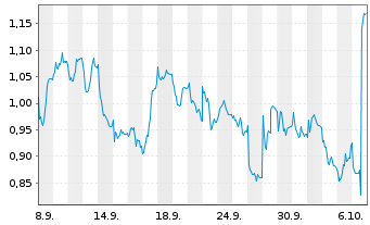 Chart Mini Future Short Fresenius Medical Care - 1 Month