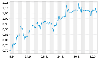 Chart Mini Future Short Li-FT Power - 1 Monat