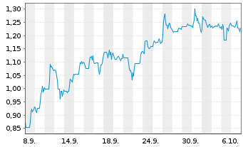 Chart Mini Future Short Li-FT Power - 1 Monat