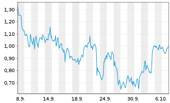 Chart Mini Future Long Block - 1 Monat