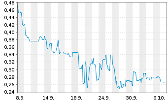 Chart Mini Future Long IBU-tec advanced materials - 1 Month