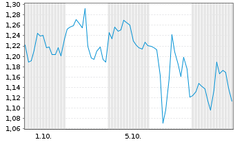 Chart Mini Future Long Snowflake - 1 Month