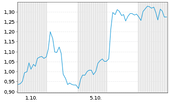 Chart Mini Future Long secunet - 1 Month
