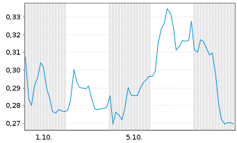 Chart Mini Future Long Duerr - 1 Monat